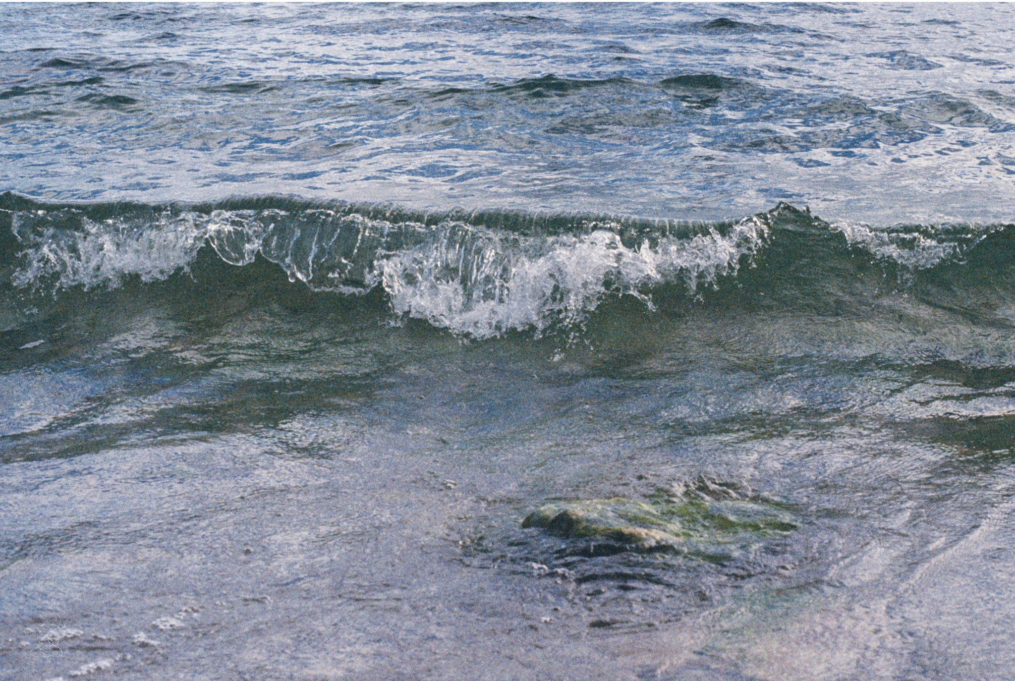 placeholder image-sq