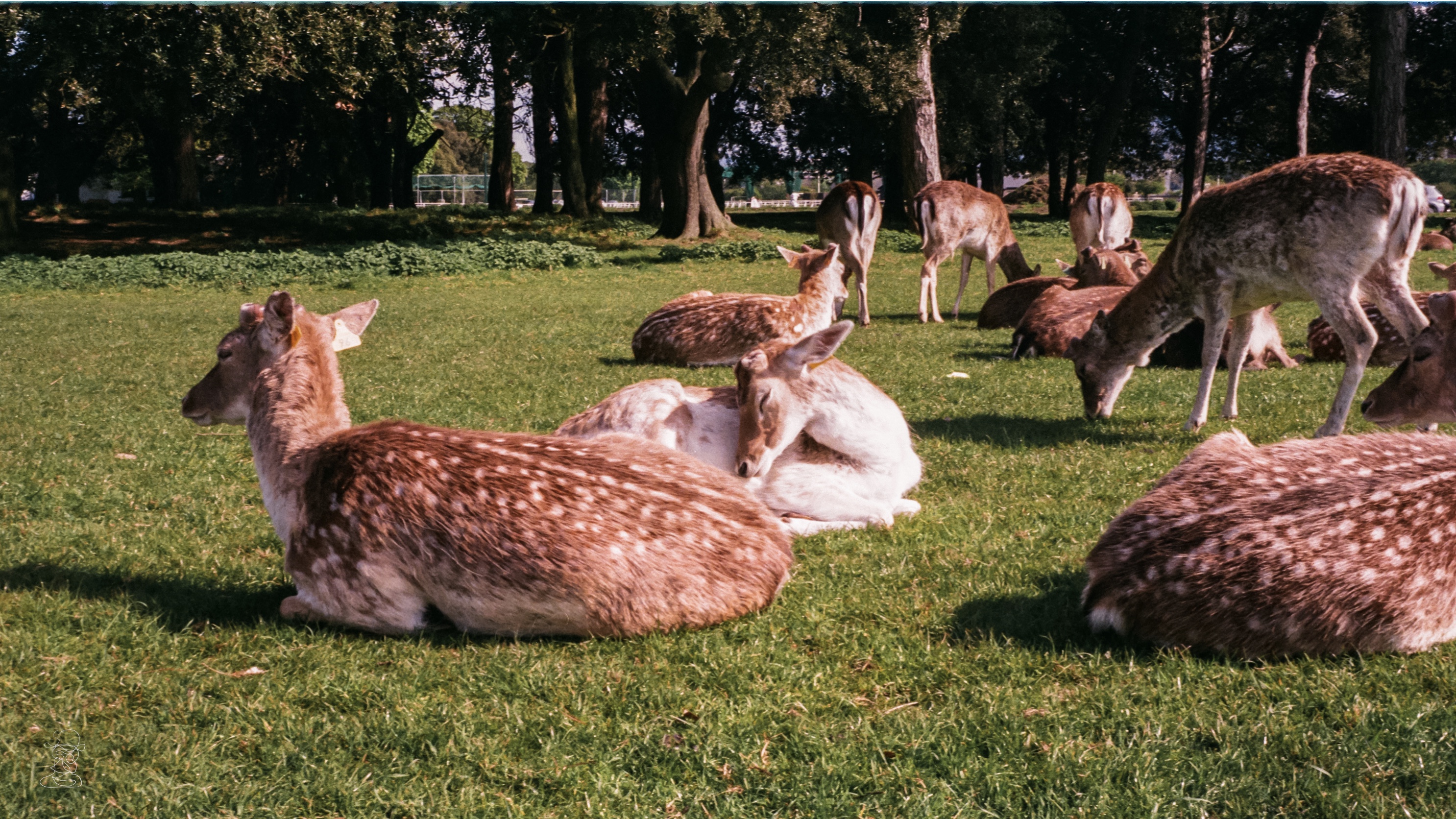 00026440 000264400014