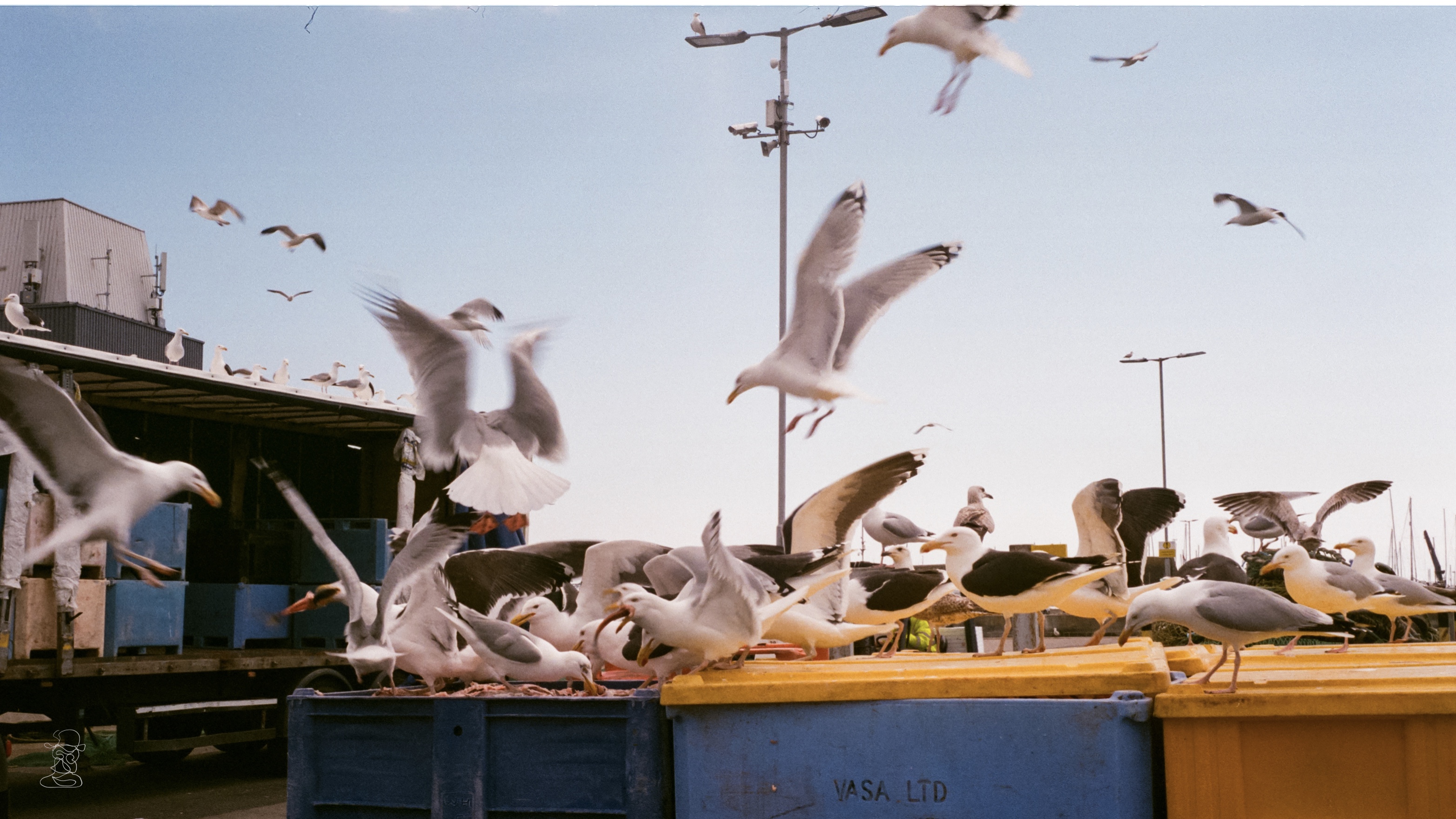 00026442 000264420015