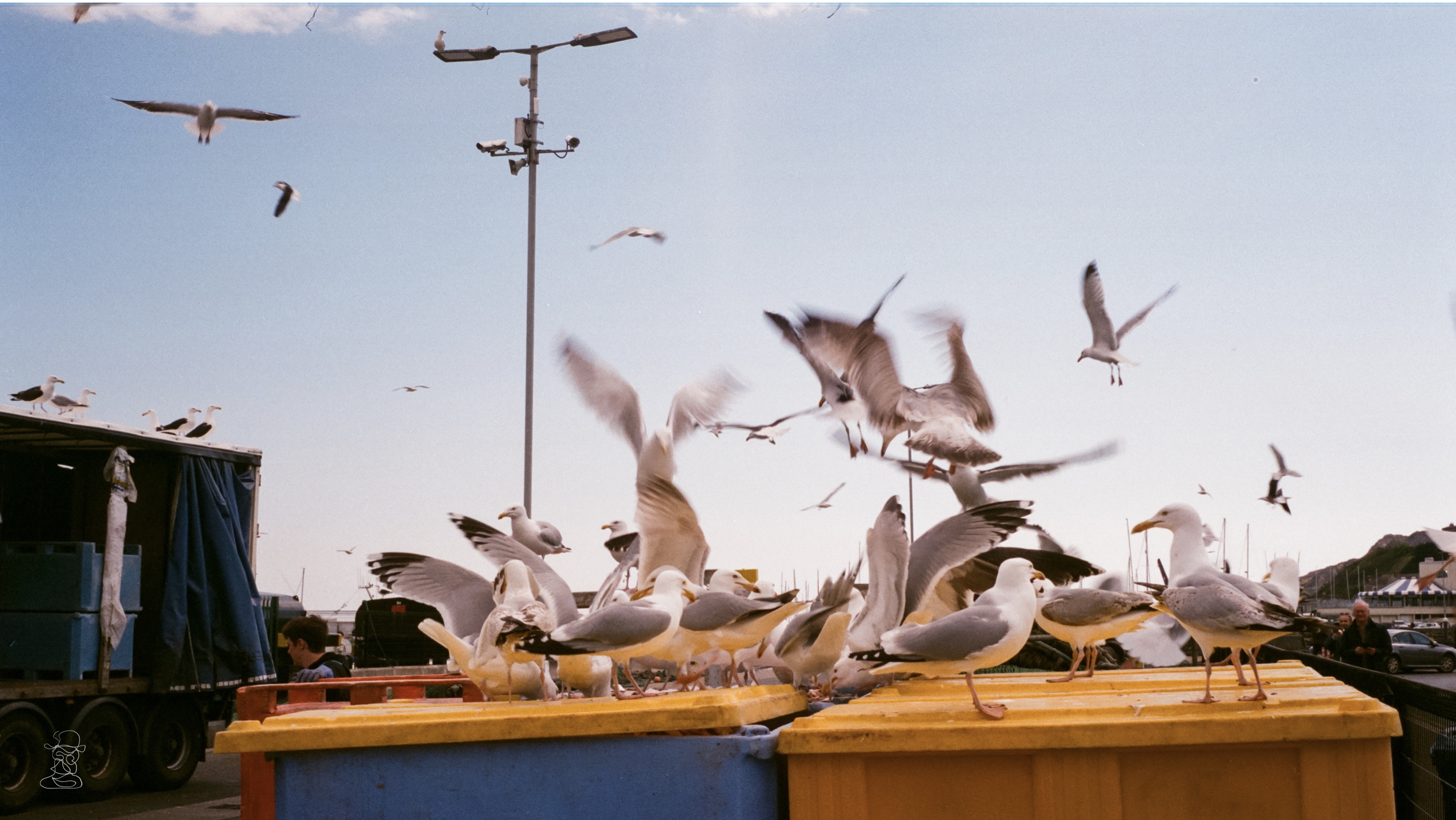 00026442 000264420016-2